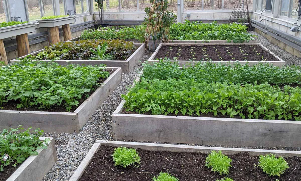 Elektryczne ogrzewanie ziemi w szklarni