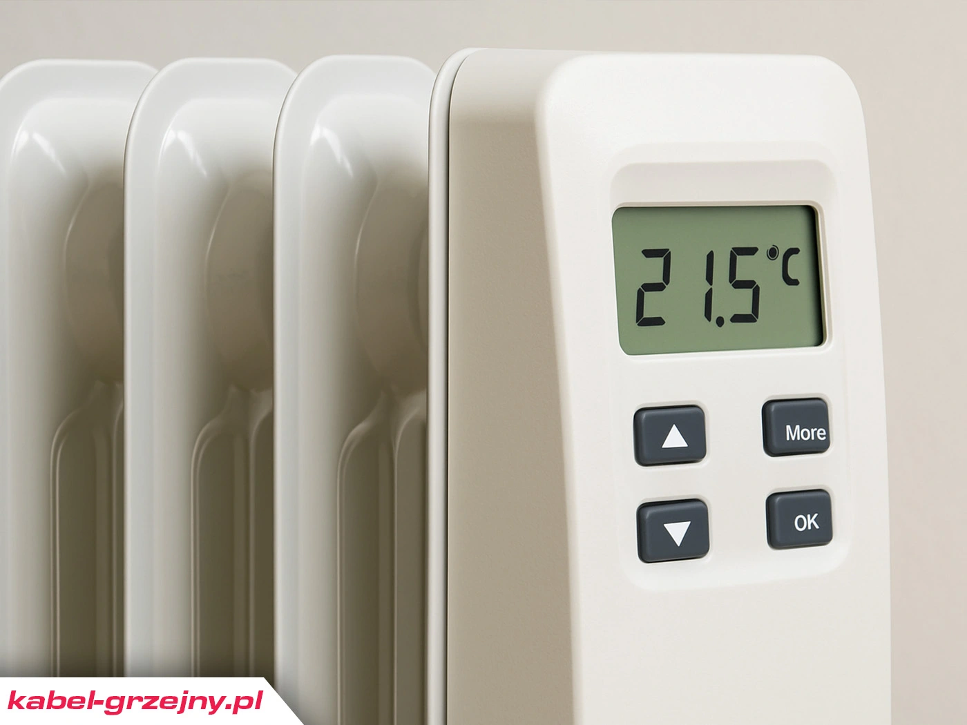 Grzejnik elektryczny z termostatem elektronicznym