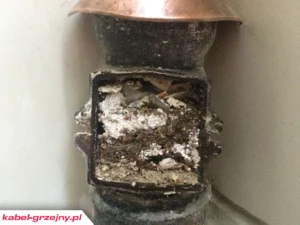 czyszczenie rynien przed zimą przy instalacji przeciwoblodzeniowej