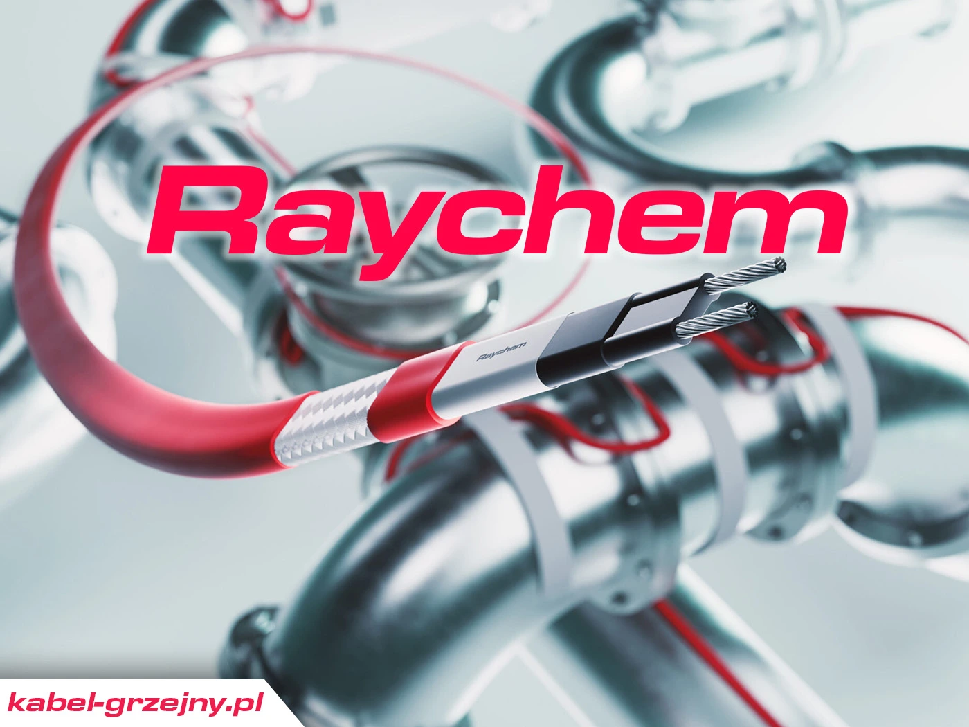 Raychem